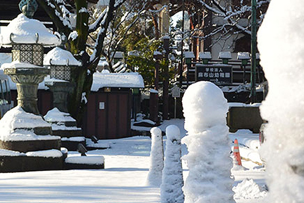 珍しい東京での雪
